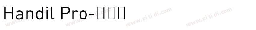 Handil Pro字体转换
